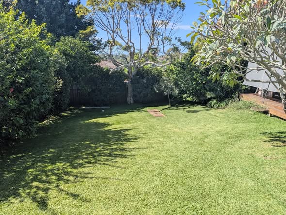 Freshly maintained backyard lawn in Kiama