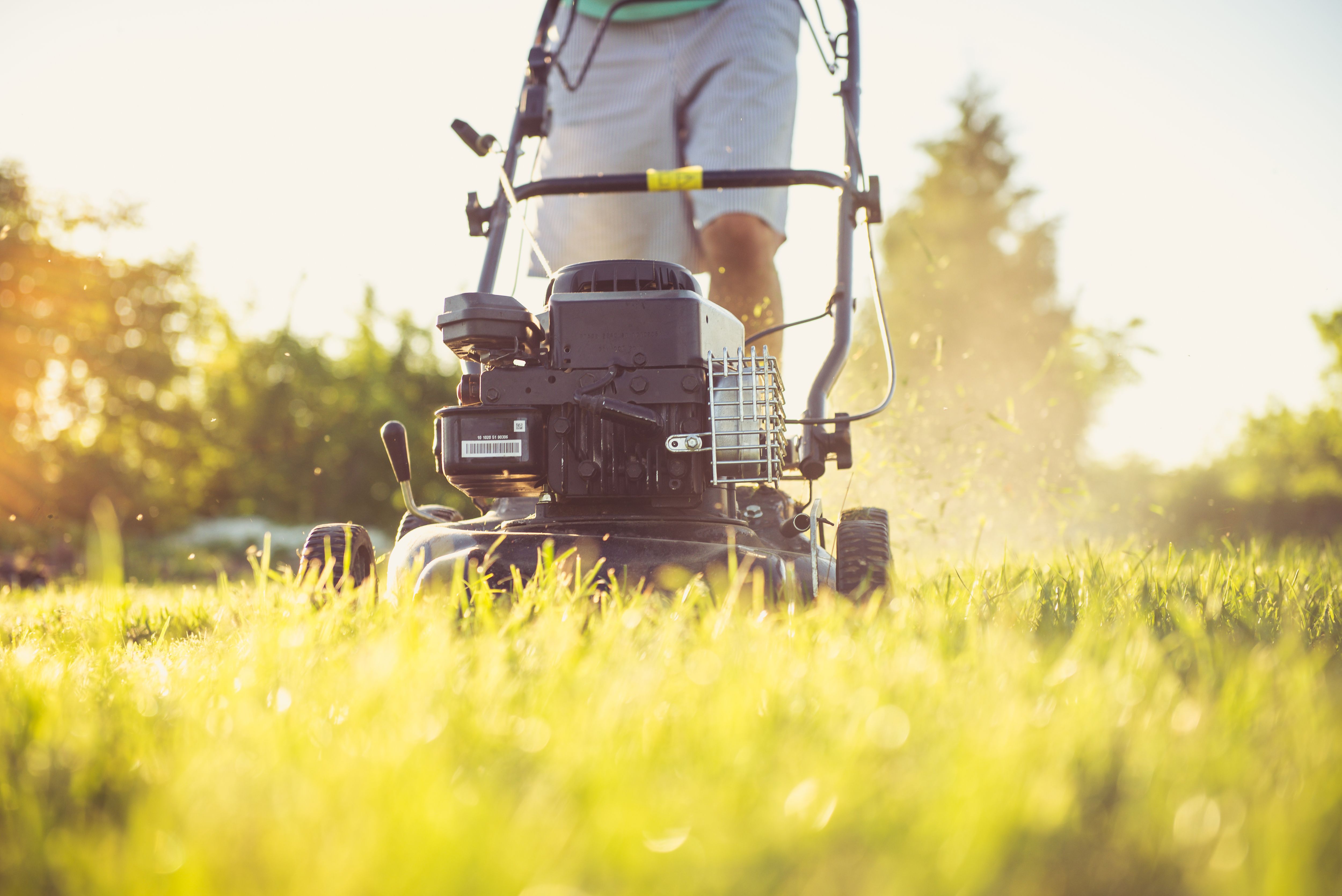 Lawn mower moving through sunlit grass