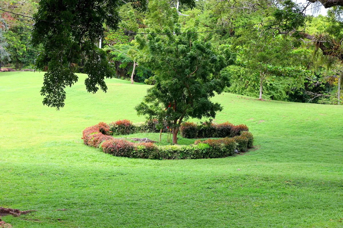 Maintained lawn and planted garden beds